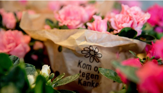 Za 20 sep 25 Plantjesverkoop – Kom op tegen kanker